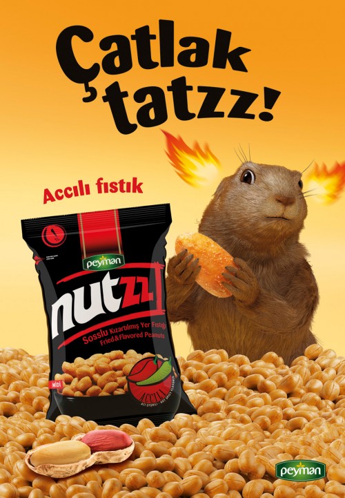 NUTZZ POSTER